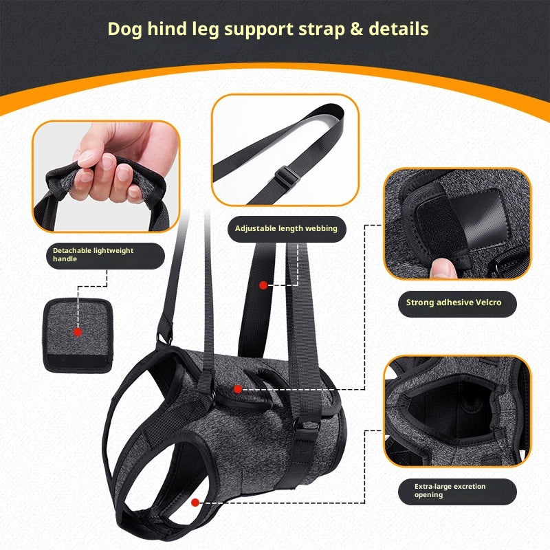 Retractable Harness for Dog Rehabilitation
