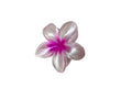 Barrettes de fleurs d'oeufs colorés pour femmes