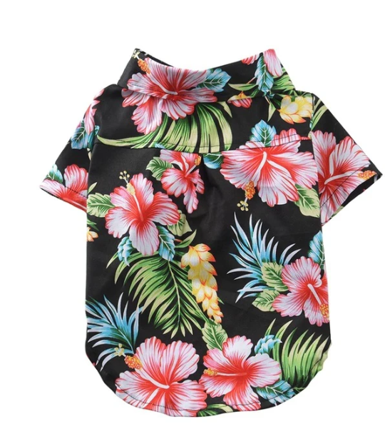 Vêtements de chemise de style chien hawaïen
