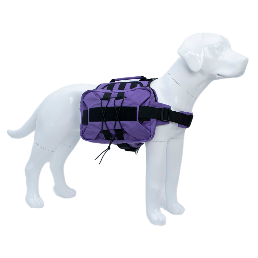Sac à dos pour animaux de compagnie multifonction avec paillettes