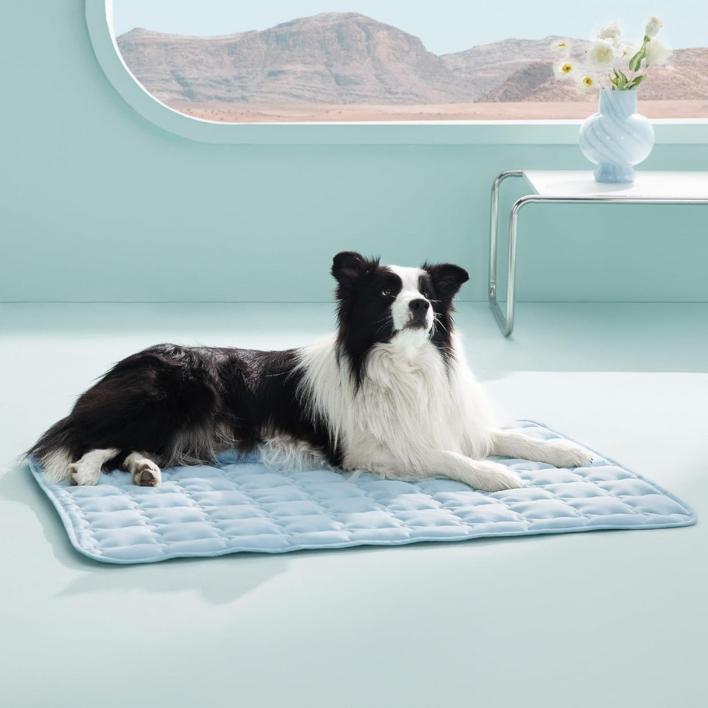Tapis de glace pour animaux de compagnie lavable à la machine