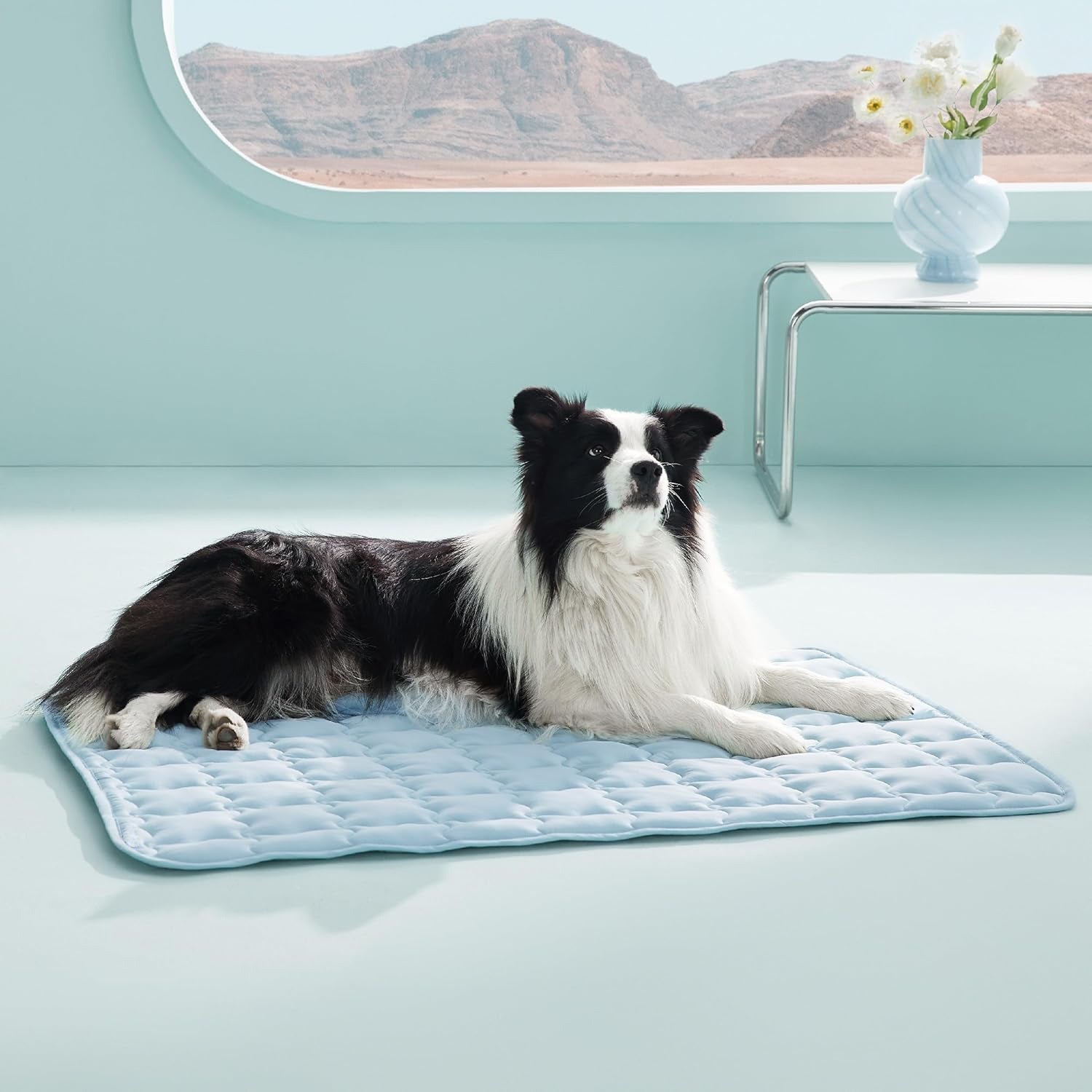 Tapis de glace pour animaux de compagnie lavable à la machine