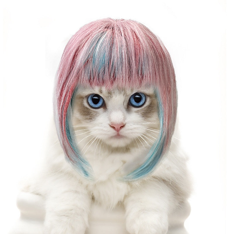 Vibrant multicolore Costume de fête à longs cheveux Dreamy Styling