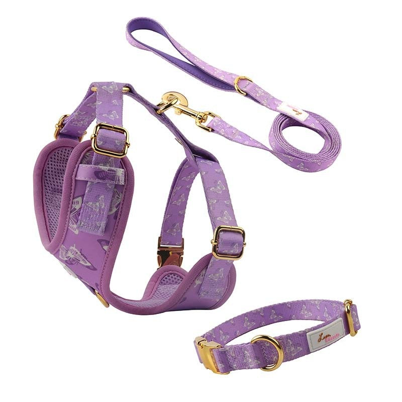 Chien Outfit Pet Extra-large Collier et laisse