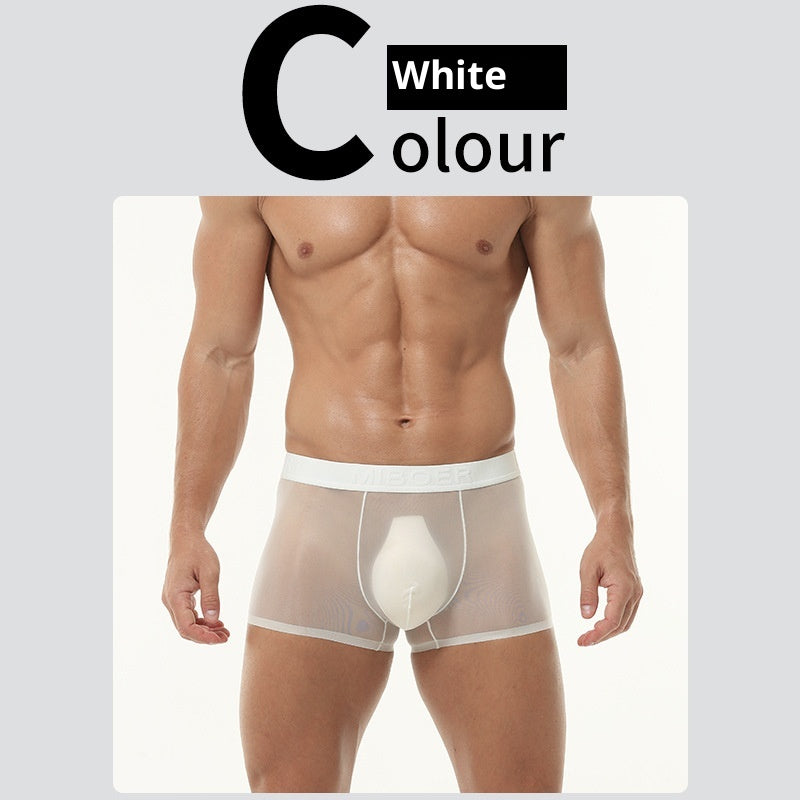 Sous-vêtements en soie de glace transparent homme Été Fin Respirant Traceless