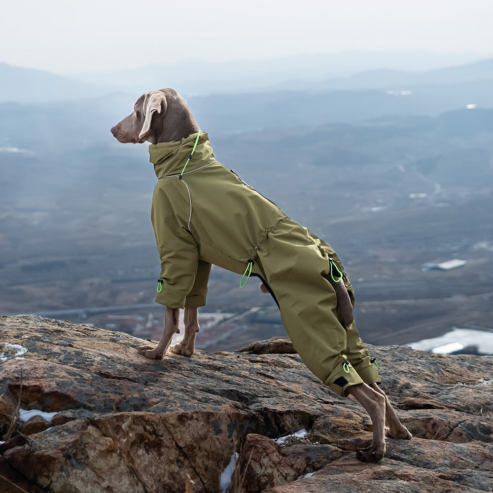 Grand chien Veste de coquille à quatre pattes coupe-vent Col tortue Extérieur Garder chaud