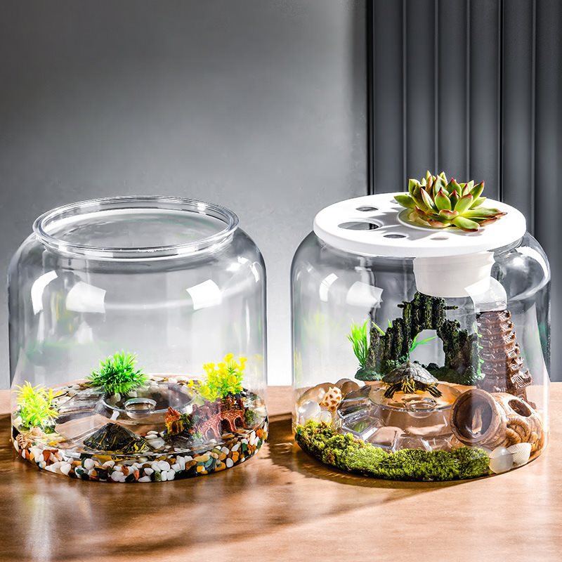 Transparent plastique bureau écologique aménagement paysager alimentation réservoir de poisson