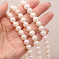 Chaîne de perles de perles naturelles d'eau douce
