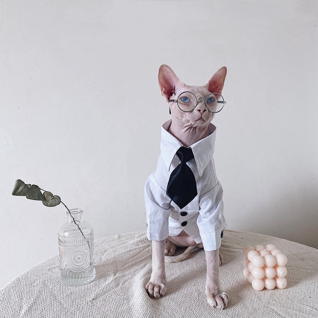 Robe de chat Sphynx Tie Vest Blazer Set pour chats sans cheveux