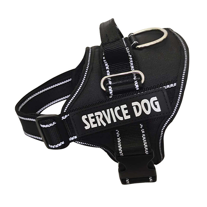 Personnalisation des produits de sangle de poitrine pour animaux de compagnie