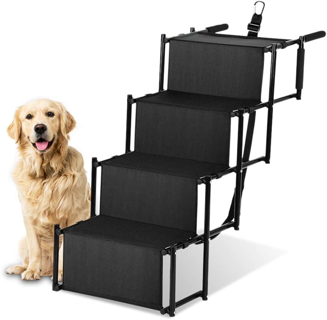 Prélèvement de chien