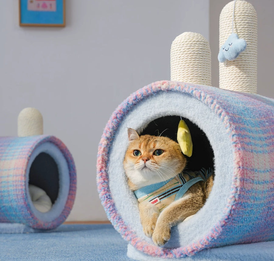 Starry Sky Cat Lit tout-saison fermé pour un sens de la sécurité