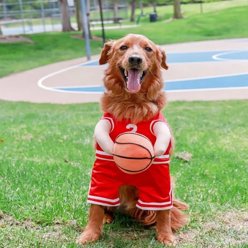 Costume de basketball de chien créatif avec balle