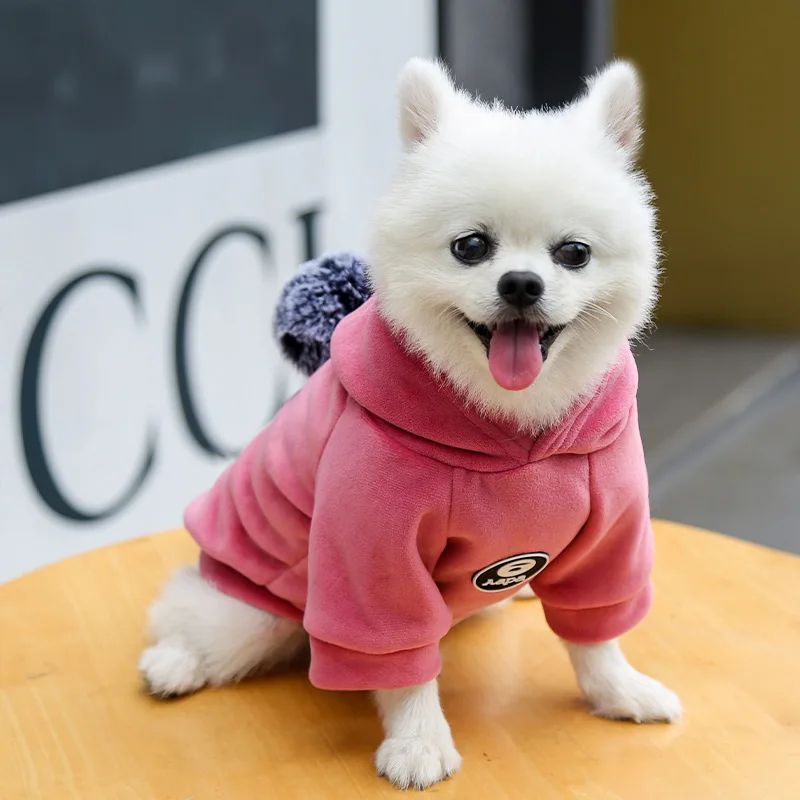Animaux de compagnie Cat Vêtements Fleece Hairball à capuche Veste Hiver Kitty Petits chiens moyens Chats