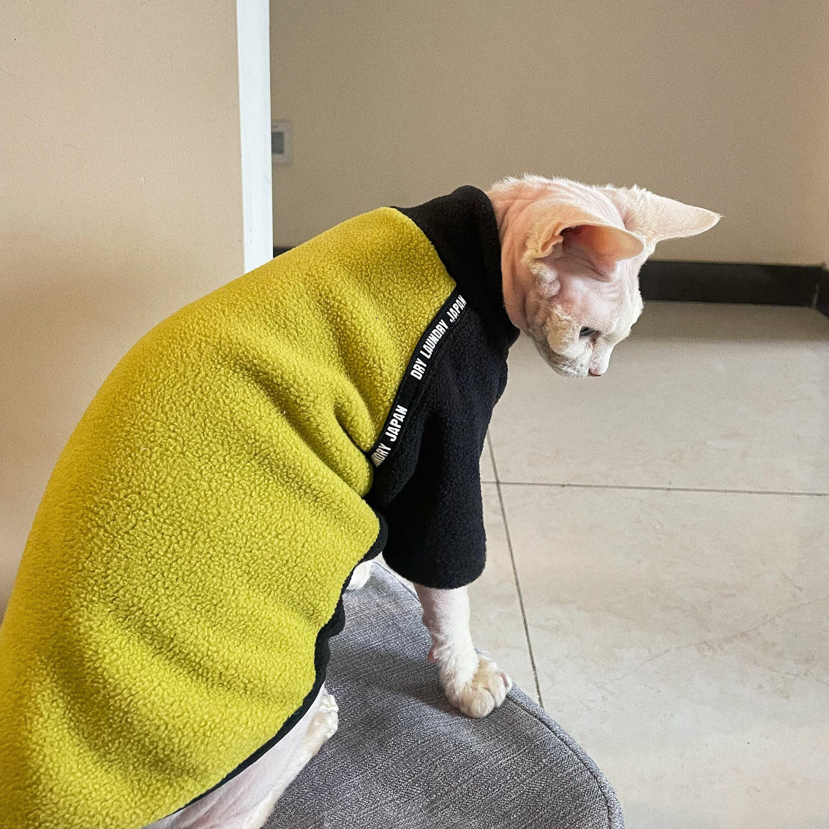 Épaisseur polaire polaire chaude manches longues vêtements pour chats sans cheveux