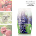 Saveur de fraicheur-grape d'air-400ml-1 pièce