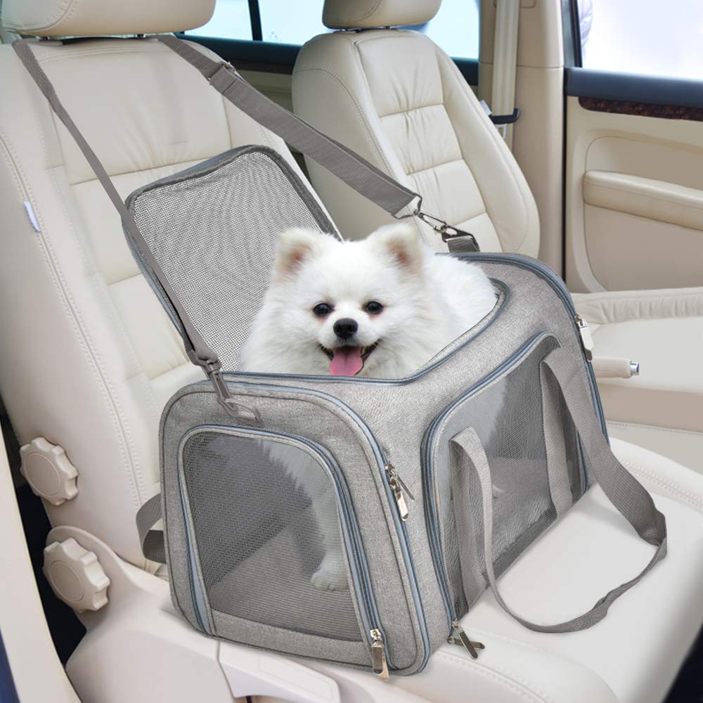 Transporteurs de chats Transporteur de chiens Transporteur de chiens pour petits chats moyens Chiens Puppies