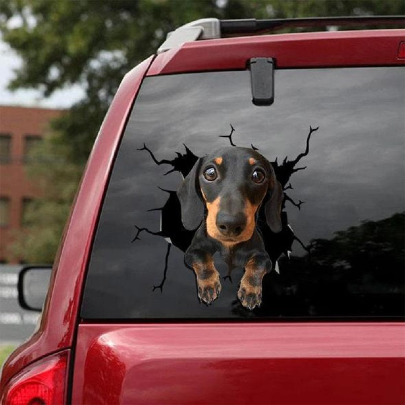 Mur animal Toutes sortes de Puppy Creative Trou de voiture cassé stickers électrostatique fenêtre