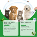 Spray naturel pour chiens et chats