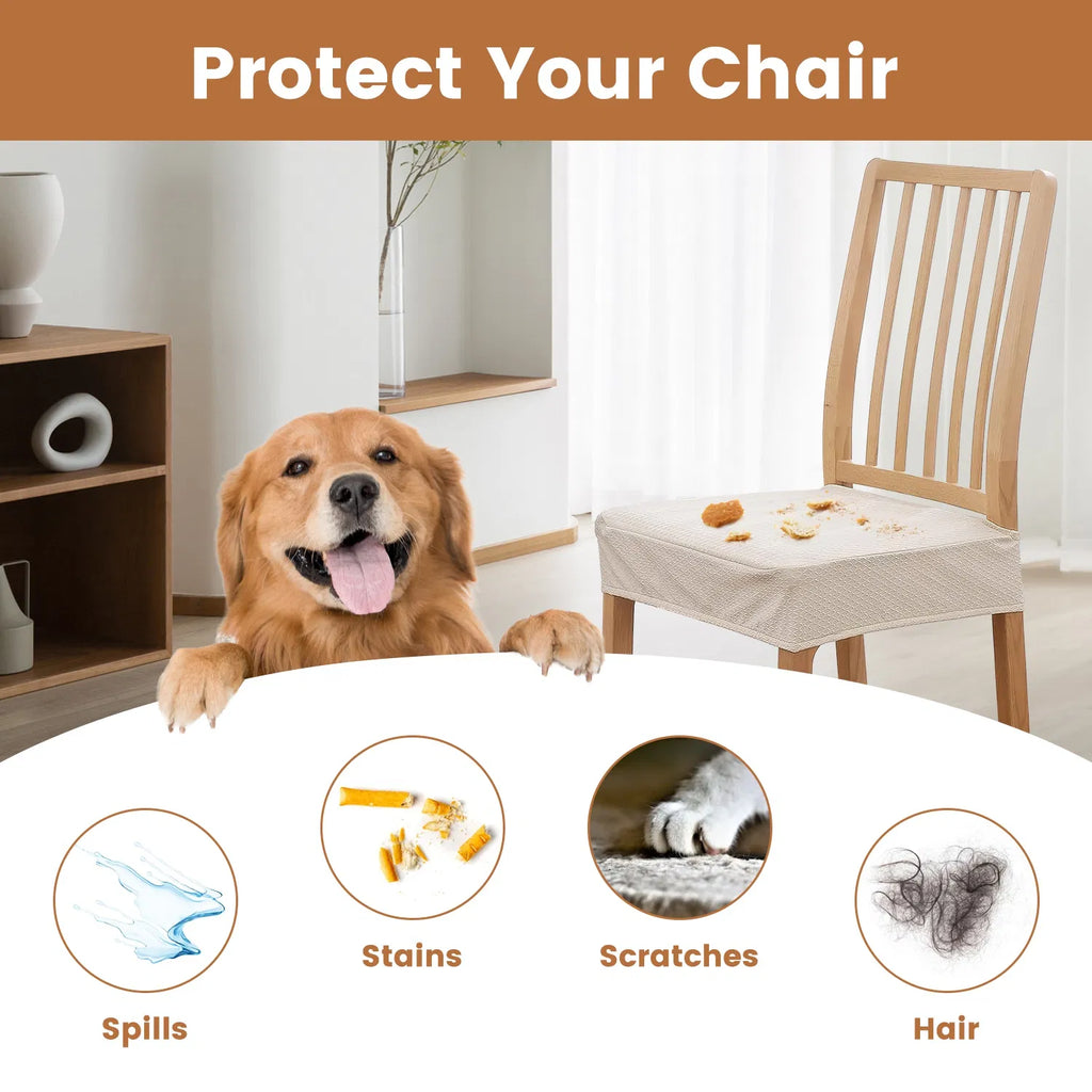 4Pack étanche chaise à manger Slipcovers chaise étirante assise Slipcovers amovible lavable