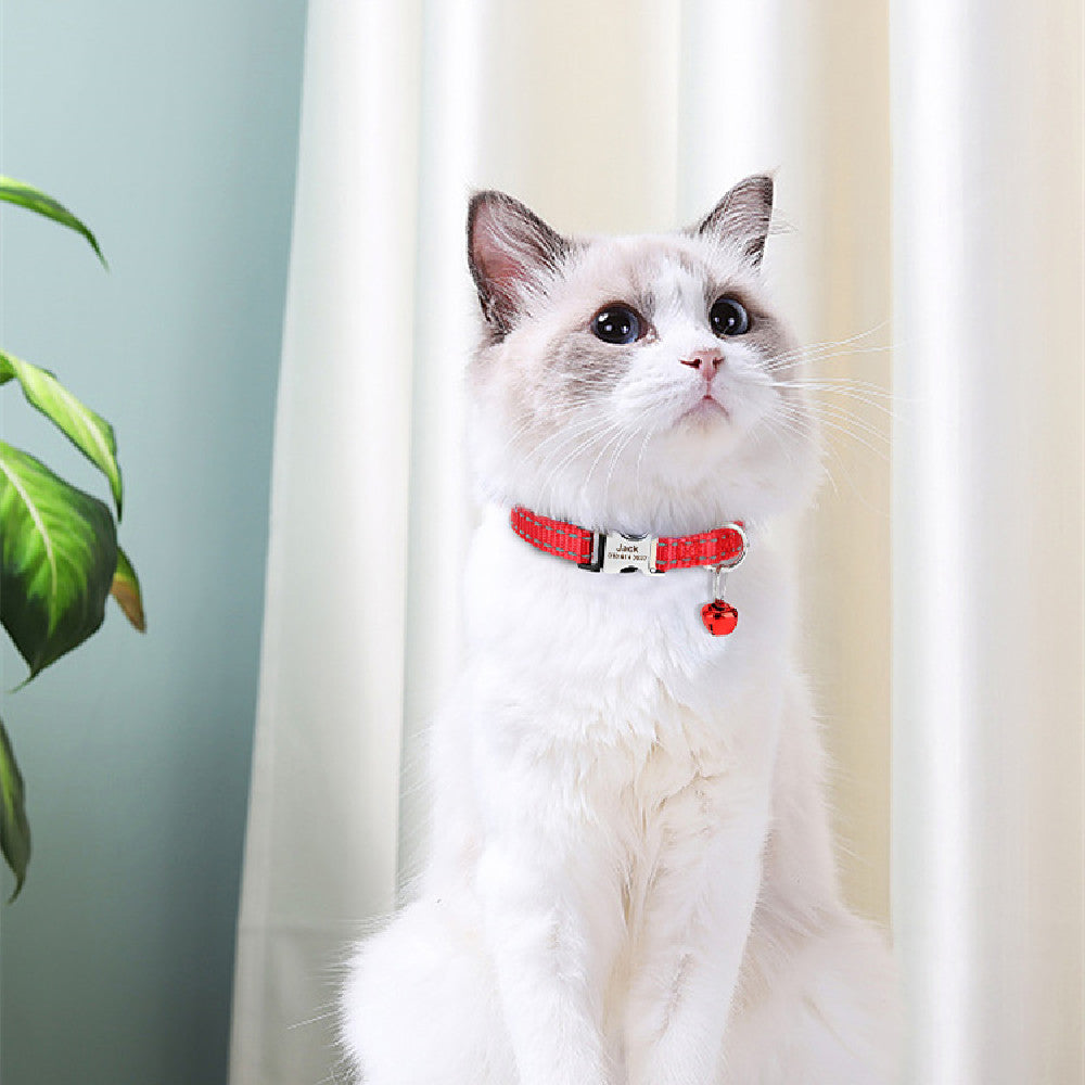Collier de collier de chat antidérapant gravé