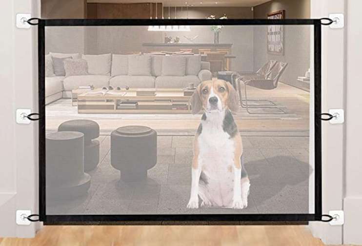 Réseau d'isolement pliable portable de l'escalier pour animaux de compagnie