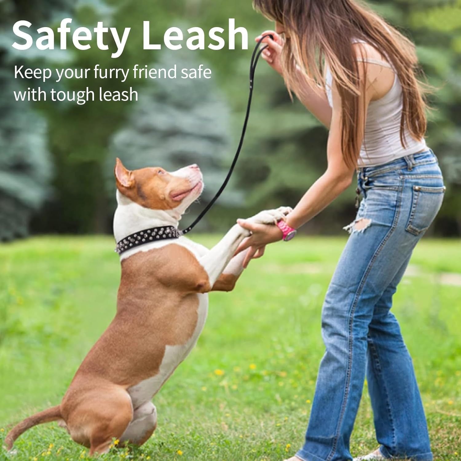 Jeu de laisse et de collier en cuir PU épaissé
