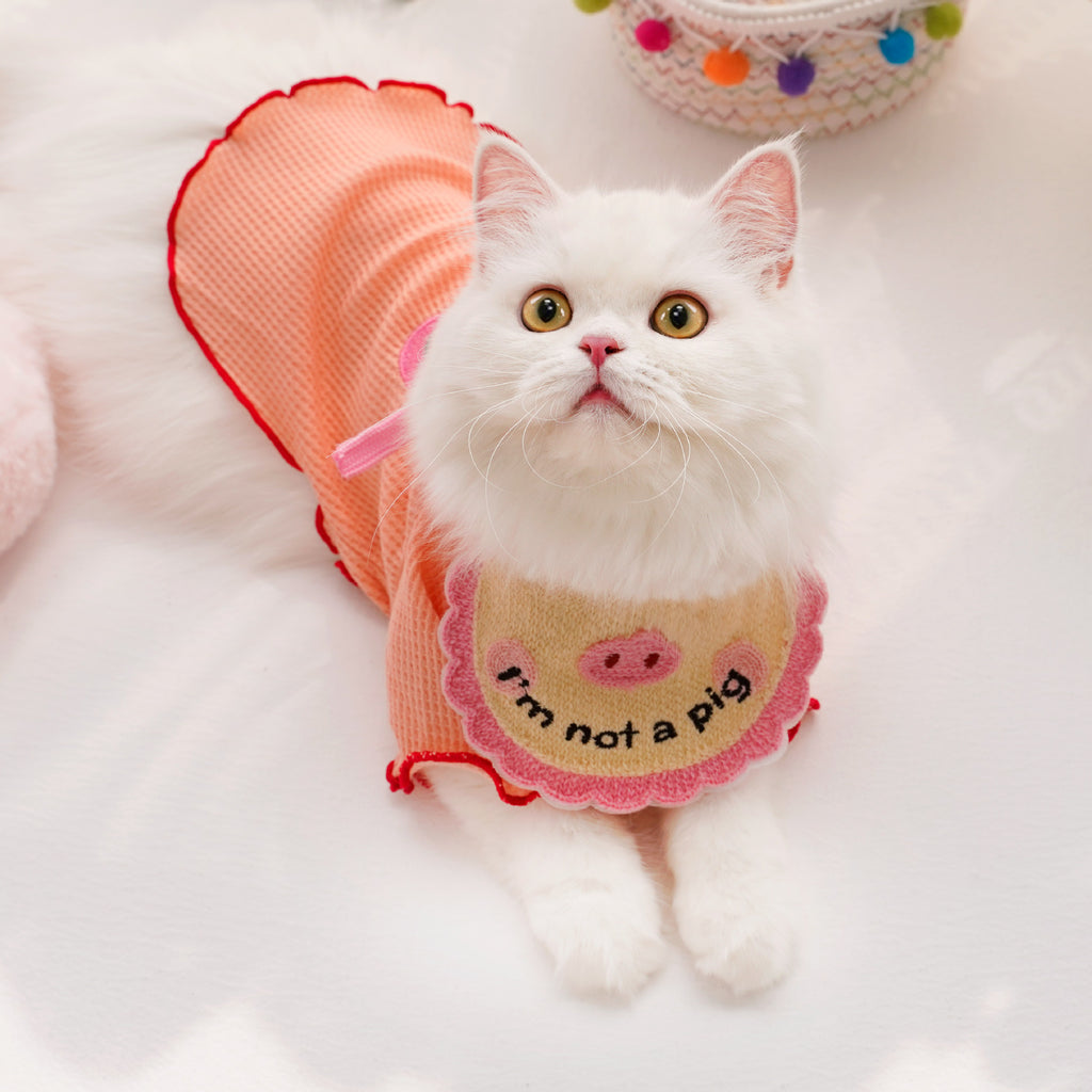 Bib de chat brodé en dentelle de style animal