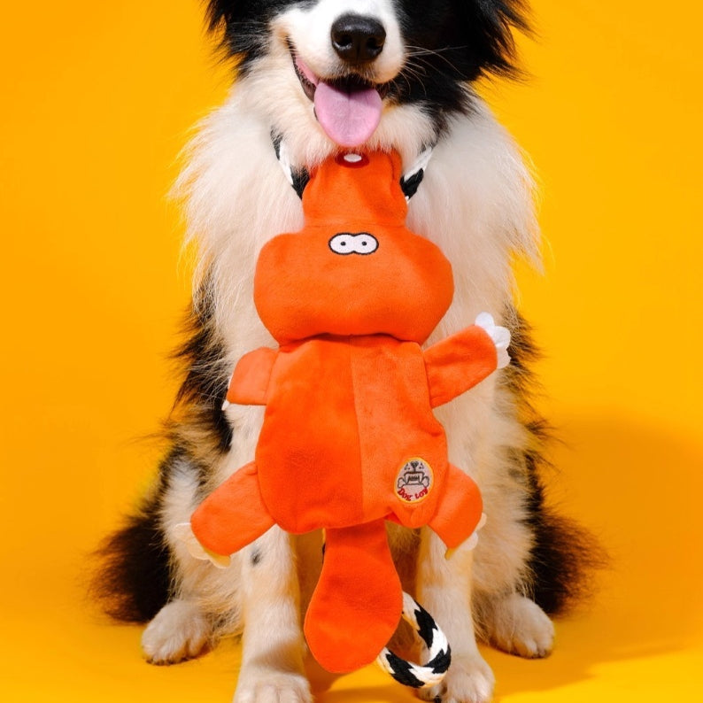 Jouets de son Molaire de chien moyen grand Bichon