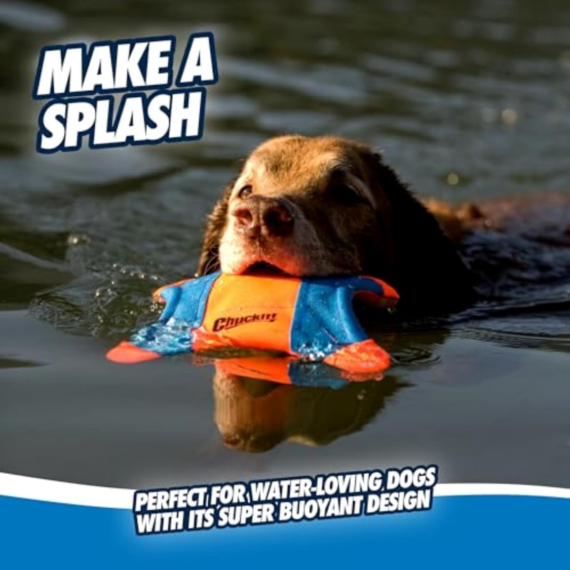 Jouet flottant pour chien : écureuil volant à lancer, terre et eau
