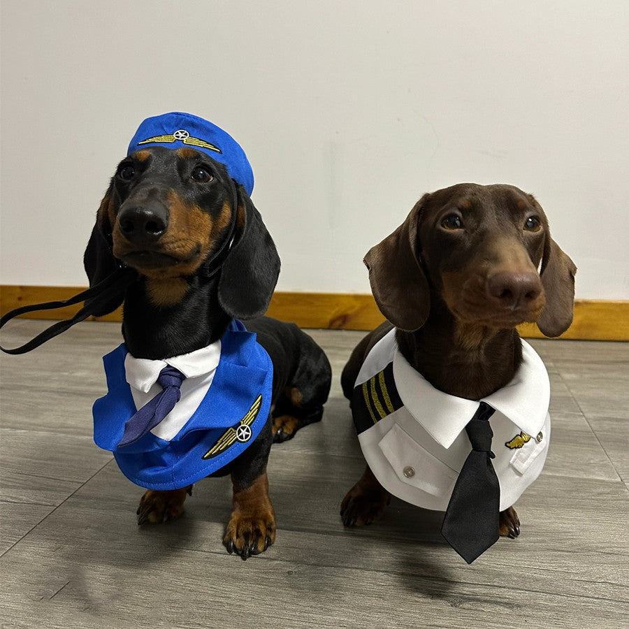 Dachshund Dog drôle vêtements Halloween costume