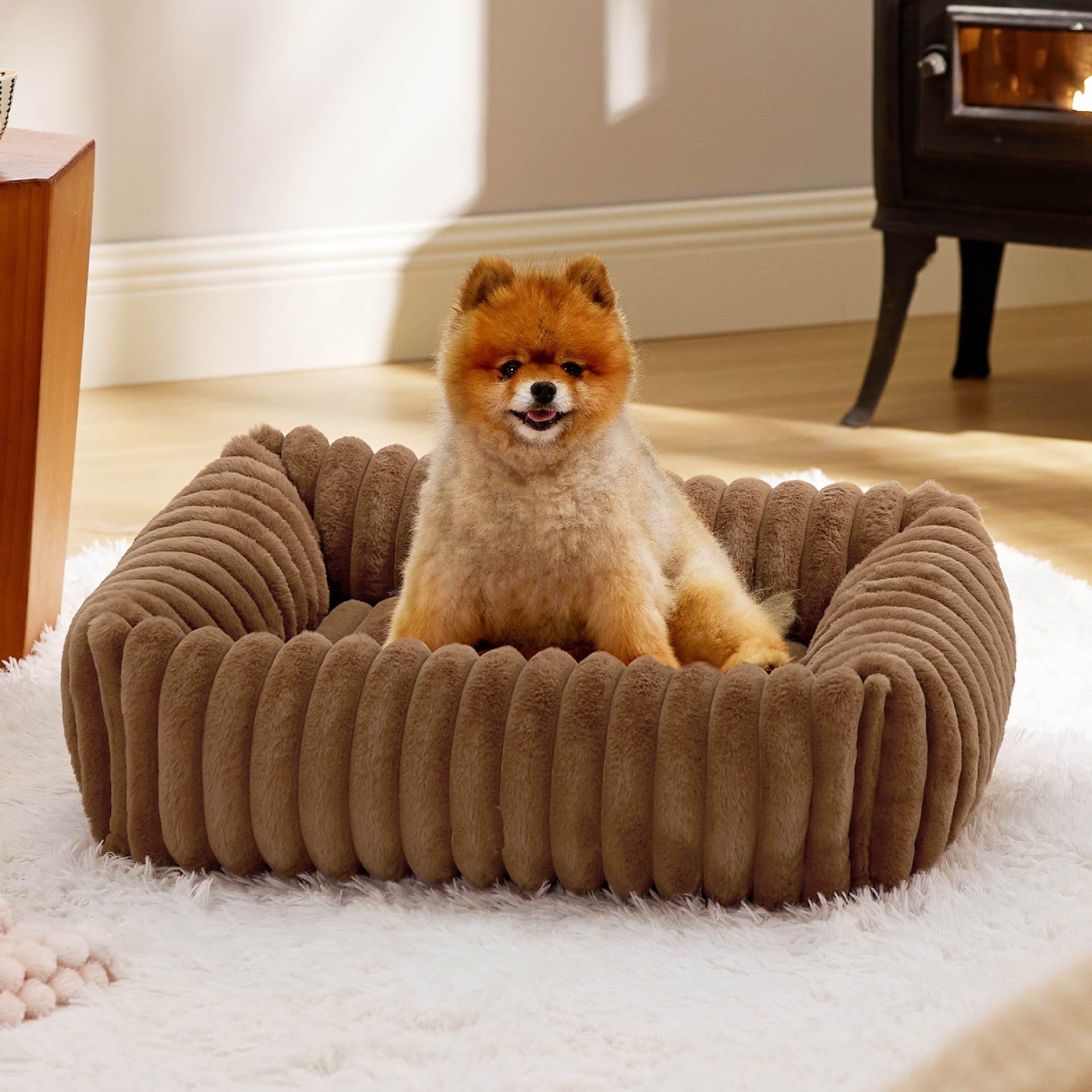 Lits pour chiens pour petits chiens moyens