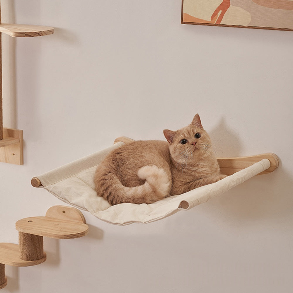 Craquage mural en bois de chat en bois massif