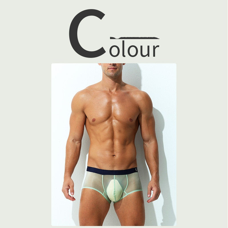 Boxer Slips Ultra-fin Sheer Silk glacé Low-rise Sexy