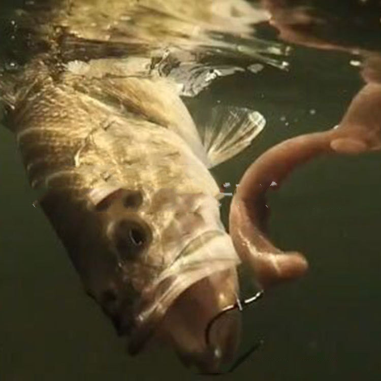 Pêche à l'extérieur Bionic Pêche à l'extérieur Silicone Bait Kit