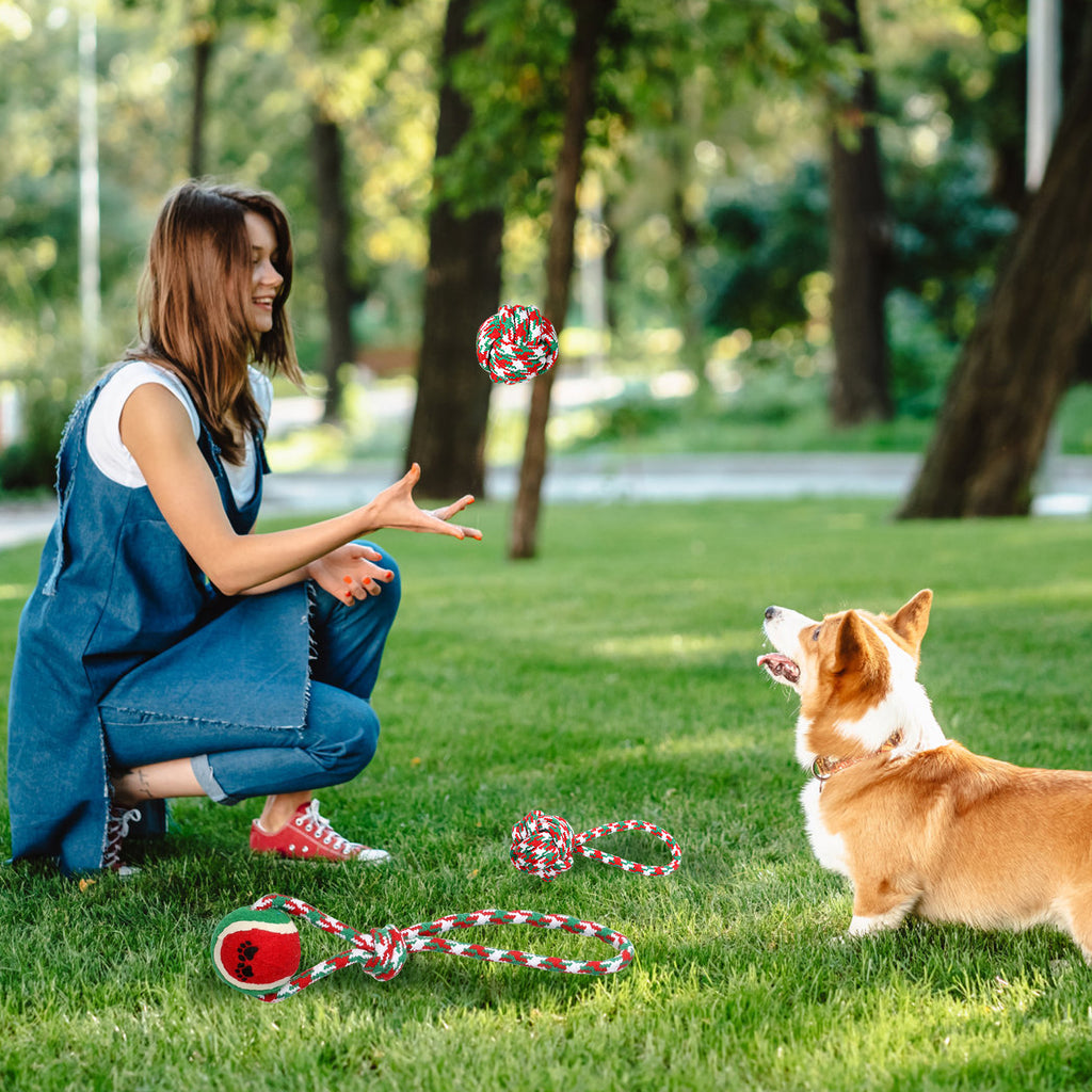 Ensemble de 5Pcs Rope de chien de Noël Jouets de Chew Jouets interactifs de chien Set pour chiot petit moyen A
