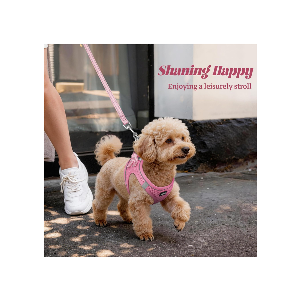 No Pull Dog Puppy Harness and Leash Set Veste de Mesh Reflective