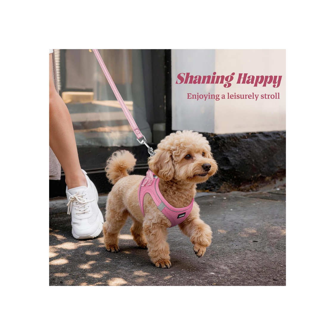 No Pull Dog Puppy Harness and Leash Set Veste de Mesh Reflective