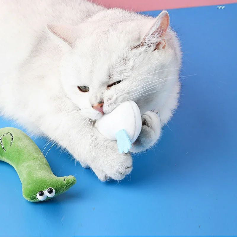 Catnip animaux de compagnie jouets chats fournitures pour mignon chat jouets chiot chaton dents Grinding chat peluche Thum