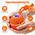 Balle de jouet pour chien interactif intelligent