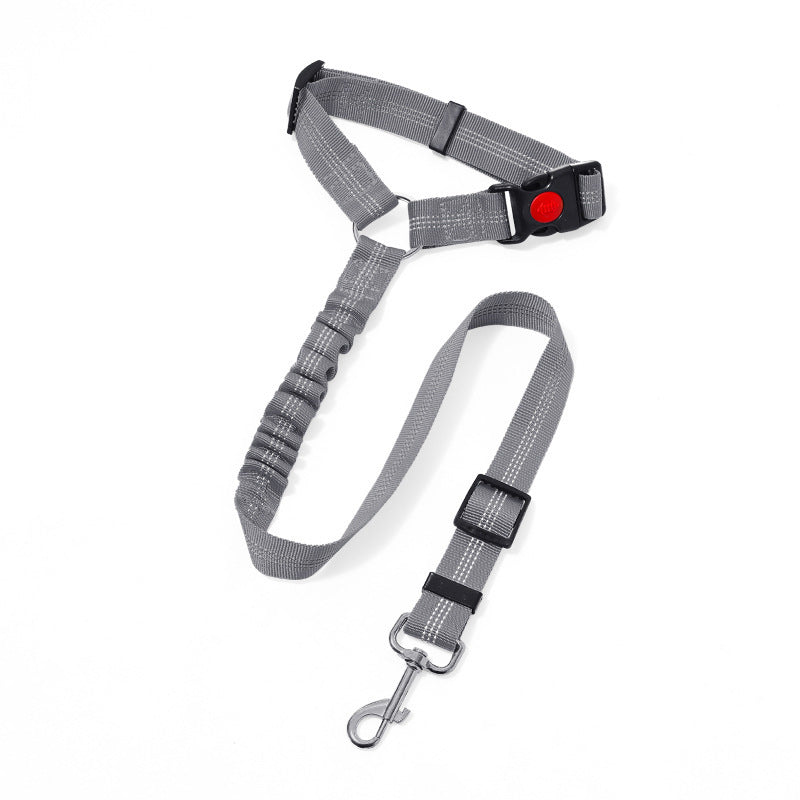 Ceinture de sécurité sur corde de traction montée sur véhicule pour animaux de compagnie