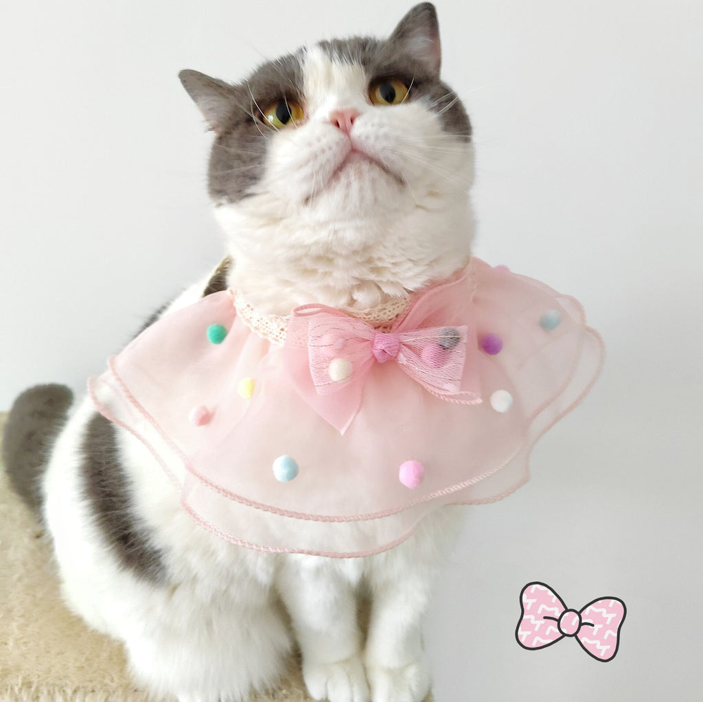 Collier de chat Bow Décoration d'été Écharpe de chien Dentelle Pet Accessoires
