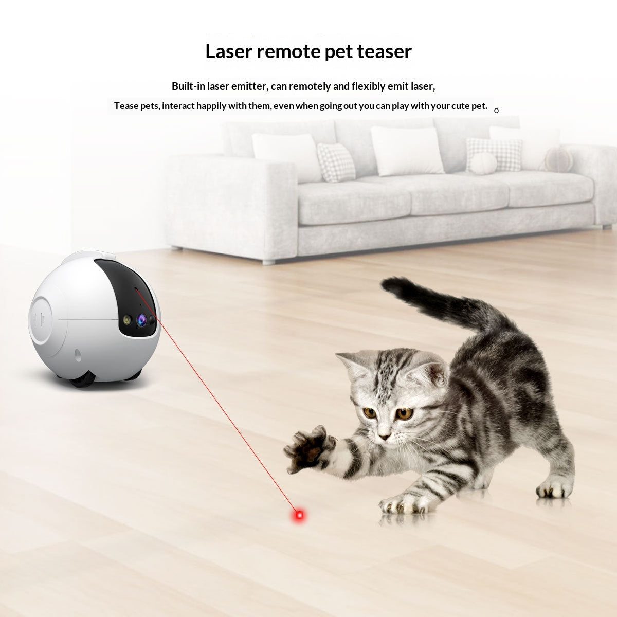 Jouet interactif pour chat et chien avec caméra de surveillance