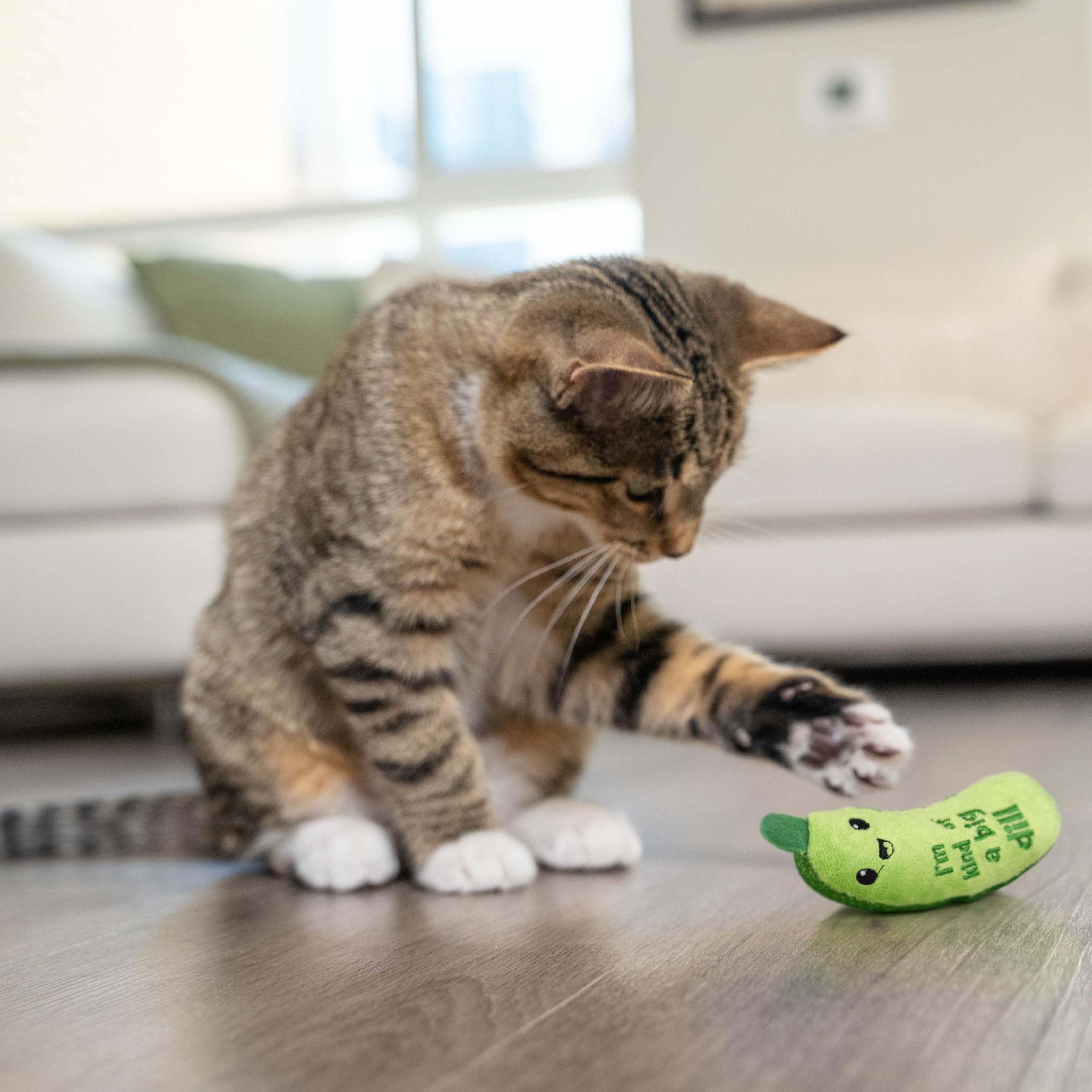 Jouet de chat de kicker de cornichon - Jouet de friandises en peluche Et mesh dentaire