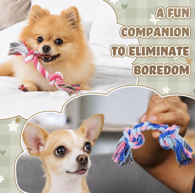 Mini Paquet de corde à croquer pour petits chiens - Jouets de corde à croustilles pour Chihuahua