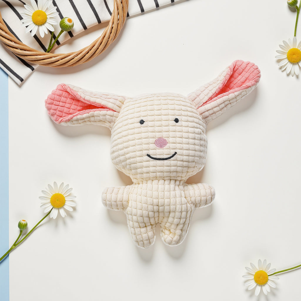 Jouet en peluche pour animaux de compagnie avec son