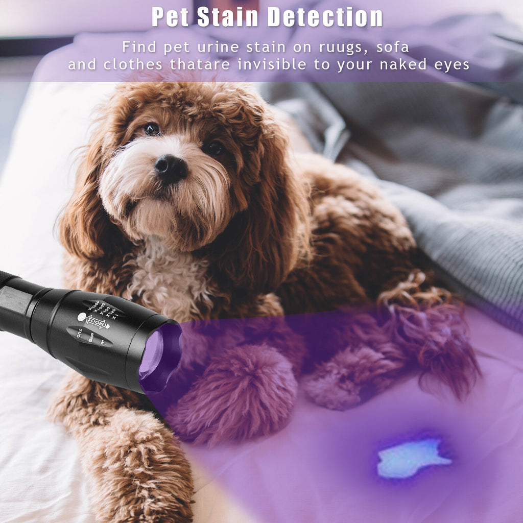 2x Lampe de poche UV LED Ultra Violet Blacklight Chasse Light Torch