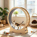 Roue d'exercice en bois de chat