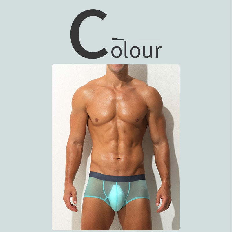 Boxer Slips Ultra-fin Sheer Silk glacé Low-rise Sexy