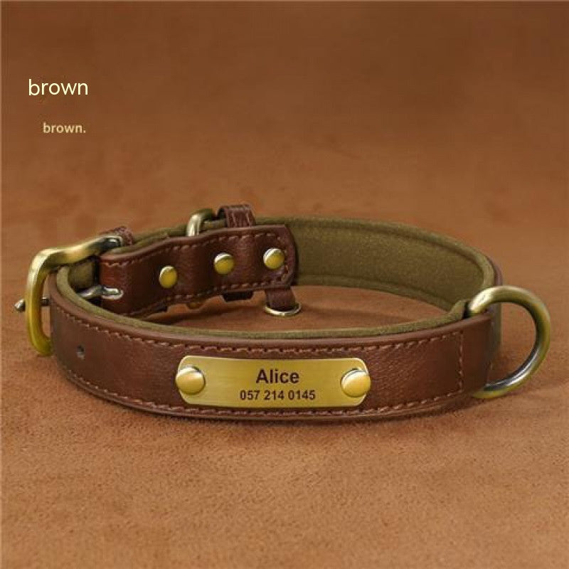 Collier de chien gravé avec des lettres pour prévenir la perte de collier